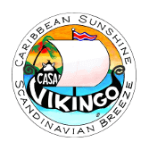 casa vikingo